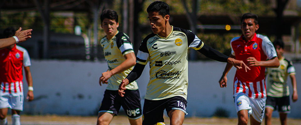 YA SON 15 SIN PERDER PARA DORADOS TERCERA