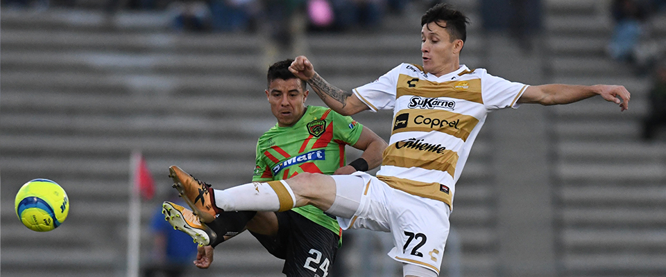 DORADOS RECIBE A LA JAIBA BRAVA