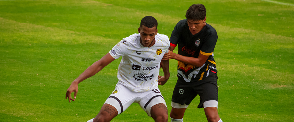 DORADOS SUPERÓ A TIGRES DE ÁLICA