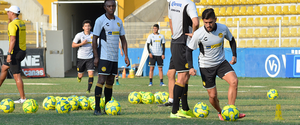 HACHEN QUIERE VOLVER AL PROTAGONISMO CON DORADOS