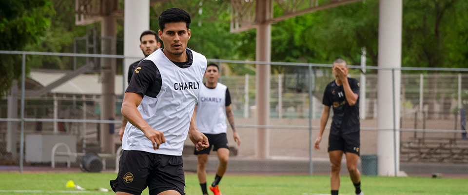 DORADOS Y MAZATLÁN DISPUTARÁN LA COPA PACÍFICO.-