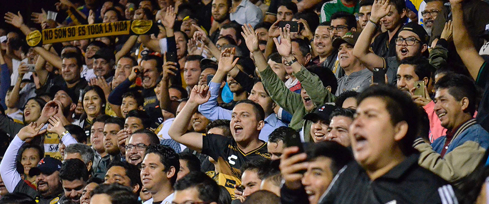 SOCIOS DORADOS CON VENTA EXCLUSIVA PARA LA FINAL