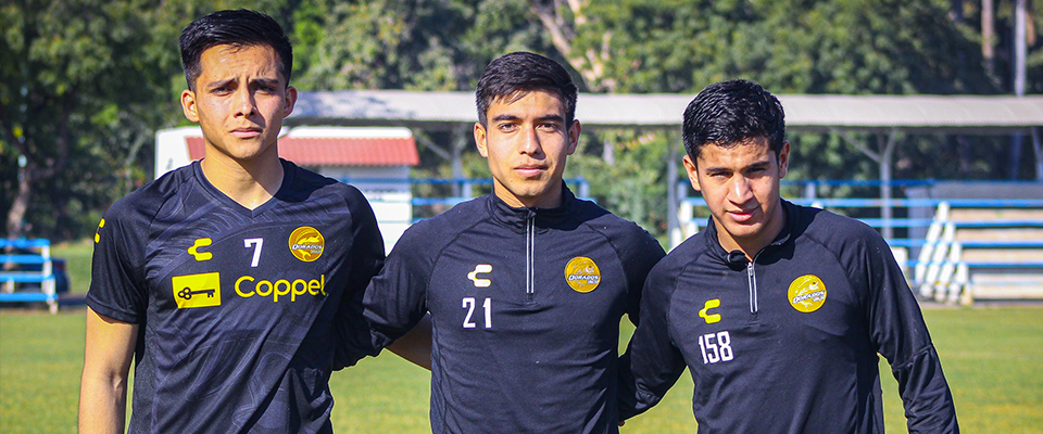 DORADOS APUNTALÓ SU PLANTEL CON 3 INCORPORACIONES