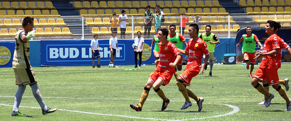 DORADOS TERCERA DIVISIÓN ESTÁ EN LA GRAN FINAL