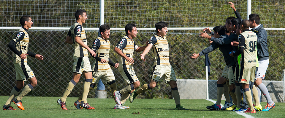 LA PECERA VERÁ ACCIÓN ANTE TOLUCA