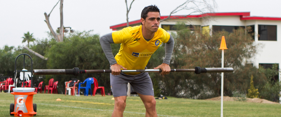 RODRIGO PRIETO SE PINTA DE DORADO