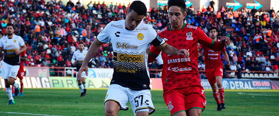 DORADOS ESTÁ EN LA GRAN FINAL