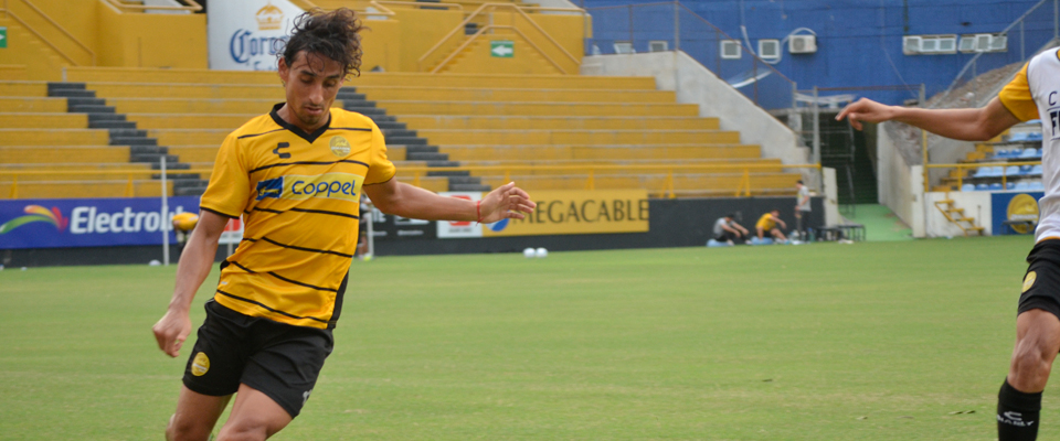 DORADOS SE ADAPTA AL SISTEMA DE TRABAJO DE SUÁREZ