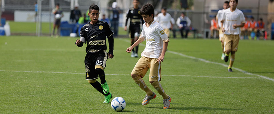 DORADOS DE SINALOA COMIENZA SUMANDO EN EL TORNEO SUB 13