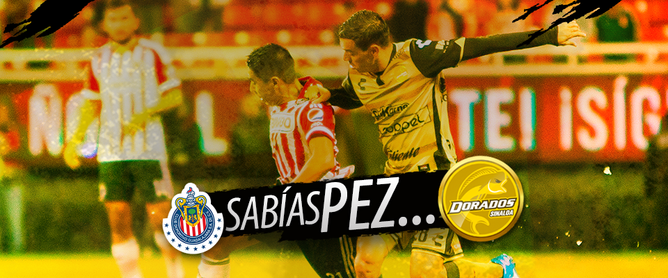 LOS DATOS DEL CHIVAS VS DORADOS DE LA FECHA 16